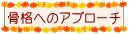 fdgfd.png
